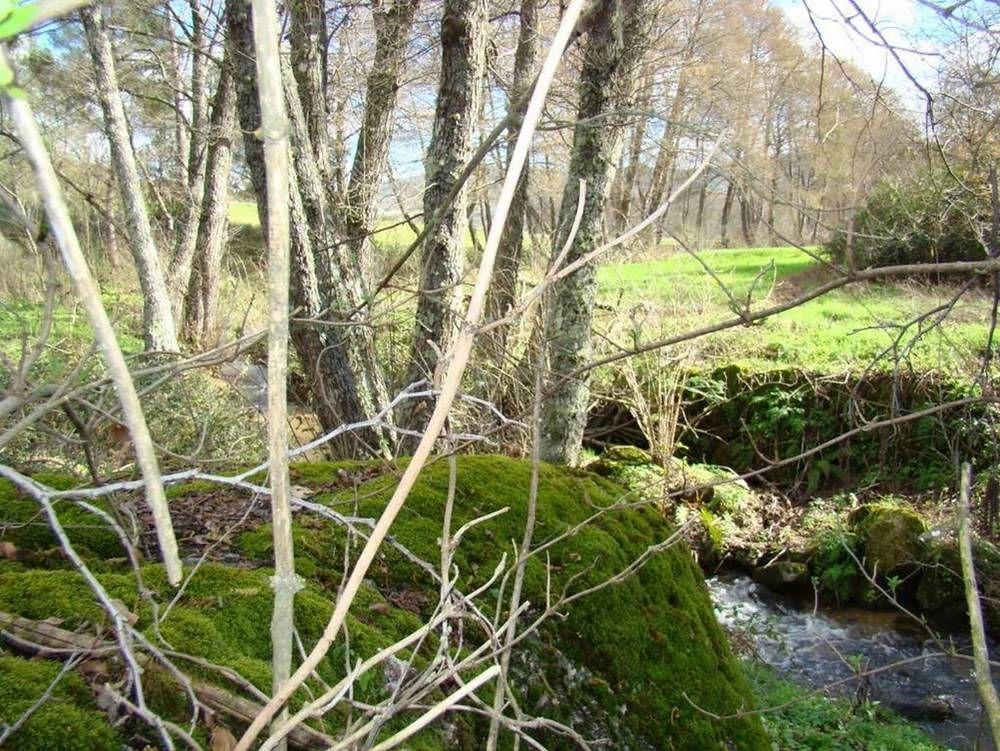 Penzion Quinta De Seves Covilhã Exteriér fotografie