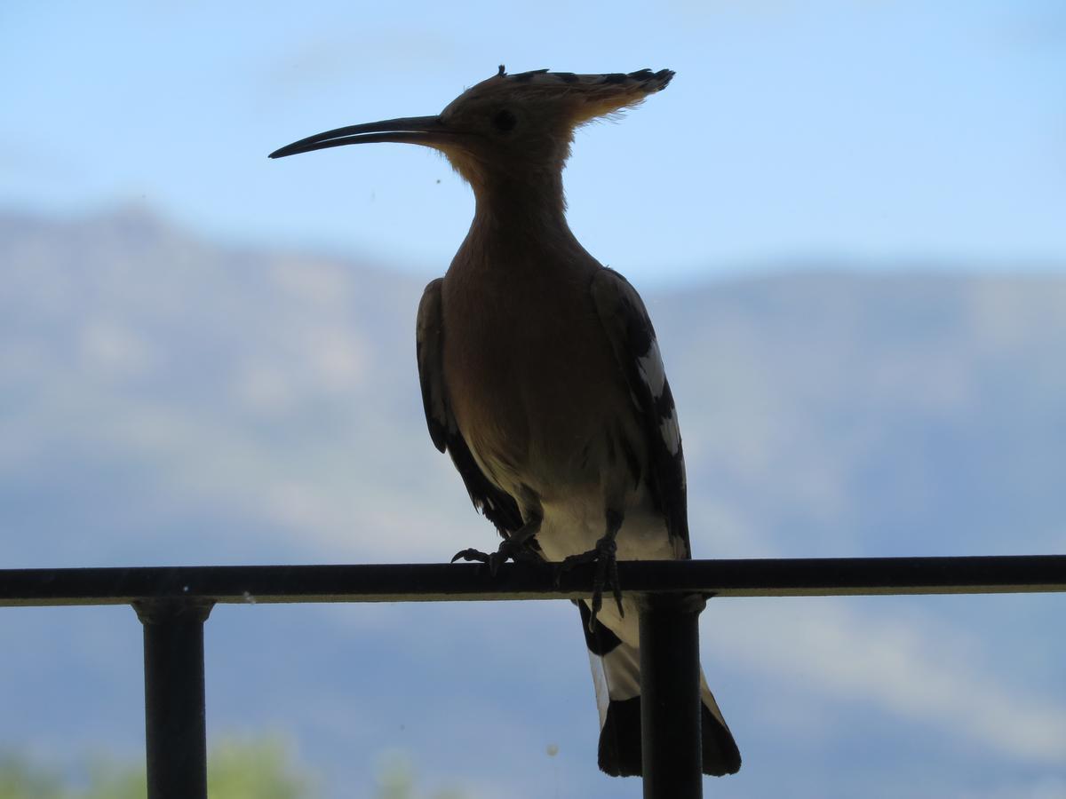 Penzion Quinta De Seves Covilhã Exteriér fotografie